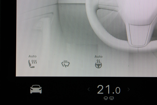 Tesla Model Y Performance AWD 75 kWh SOh 92.5% PANO LEER NAVI ORG NL 112000KM!!!