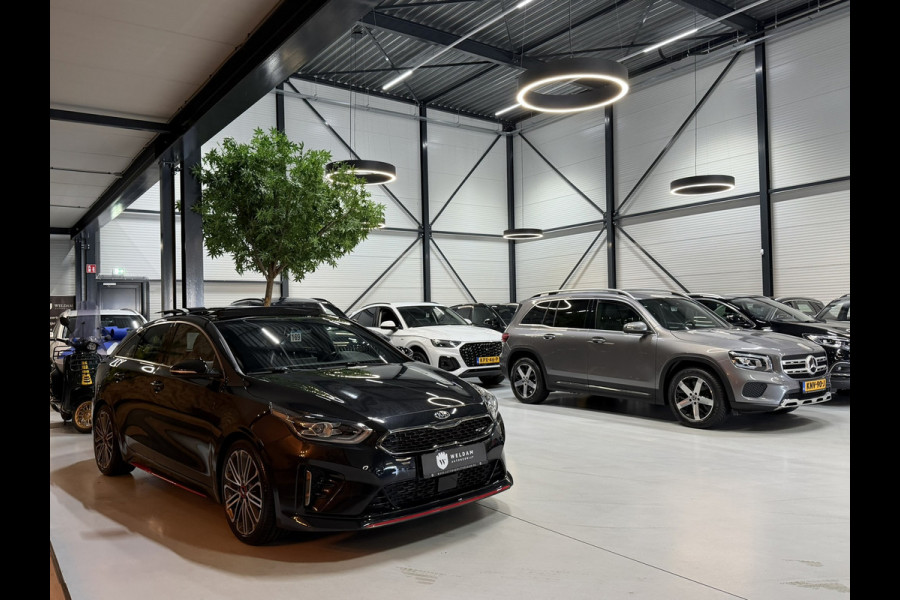 Kia ProCeed 1.6 T-GDI GT 12-2019 Garantie|205PK|Pano|JBL|ACC|Memory|Trekhaak|Rijklaar