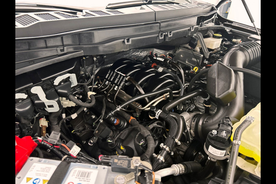 Ford USA F-150 5.0 V8 SuperCrew Lariat | Origineel NL| Prins/Onderbouw | B&O | Memory | 360 Camera | Panoramadak | Trekhaak |