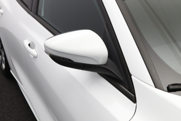Ford FOCUS Wagon 1.0 EcoBoost Hybrid 125 PK ST Line Business, LED, Trekhaak, Winterpakket, Camera, DAB