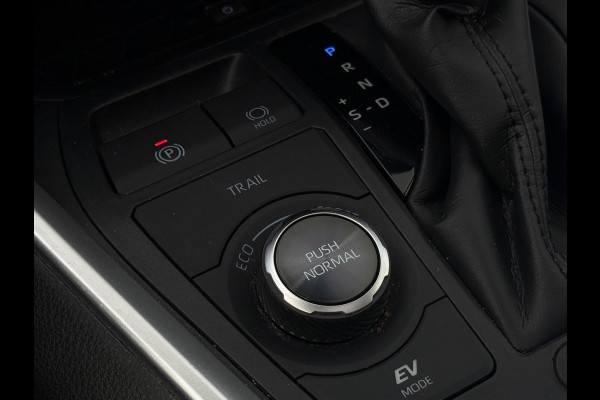 Toyota RAV4 2.5 Hybrid AWD Black Edition Pano|Leder|JBL