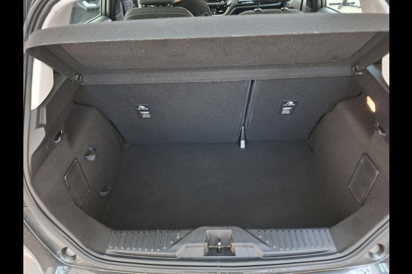 Ford Fiesta 1.0 EcoBoost Titanium | Winter Pack | Navigatie | Cruise Control | Wordt verwacht!