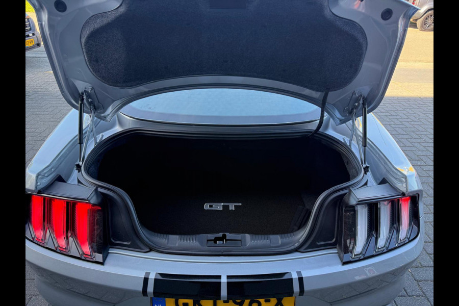Ford Mustang Fastback 5.0 V8 GT | 1E EIGENAAR | 3/6/12MND GARANTIE| AUTOMAAT | LED | DAB | ACC | CARPLAY | CLIMA |