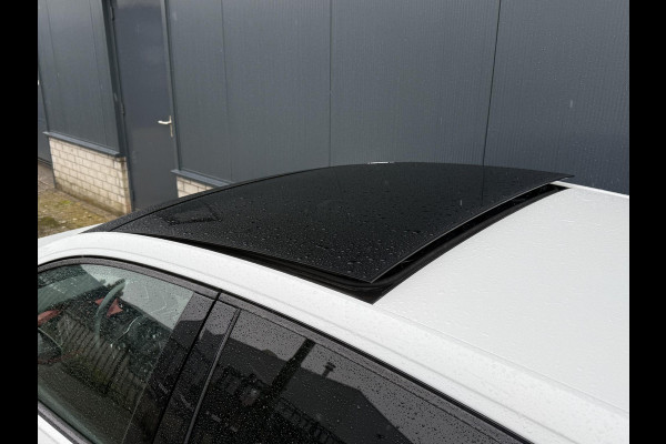 Volkswagen Polo 2.0 TSI GTI 17"/Panoramadak/Stoelverwarming/Keyless/Virtual cockpit/Adaptieve cruise/Camera/IQ Light/PDC v+a/Apple Carplay & Android Auto