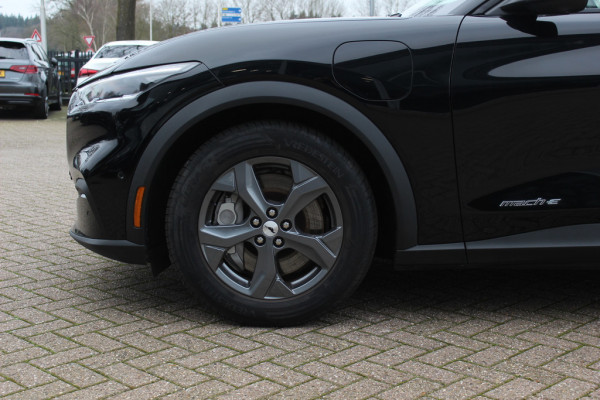 Ford Mustang Mach-E Extended RWD 98 kWh / 360Camera / Leder / 18'' / Keyless / DAB / B&O / Stuur+Stoelverwarming / ACC