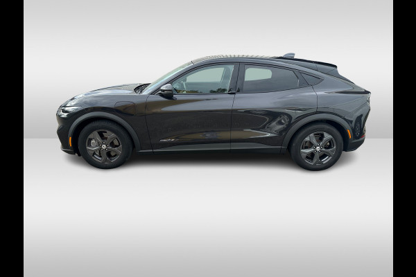 Ford Mustang Mach-E Extended RWD 98 kWh / Camera / Leder / 18'' / Keyless / DAB / Dodehoek / Stuur+Stoelverwarming / ACC