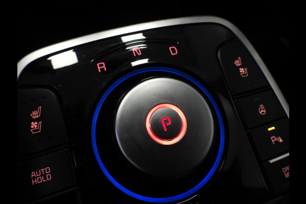 Kia e-Niro ExecutiveLine 64 kWh LEER/MEMORY/CAMERA/LED/JBL/17"LMV!