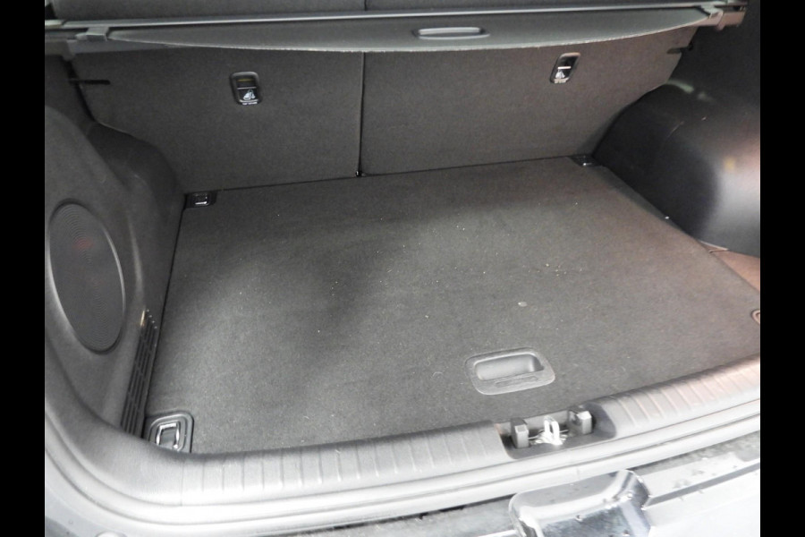 Kia e-Niro ExecutiveLine 64 kWh LEER/MEMORY/CAMERA/LED/JBL/17"LMV!