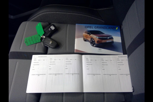Opel Grandland 1.2 Turbo Hybrid Business Edition Panoramadak | Focal audio