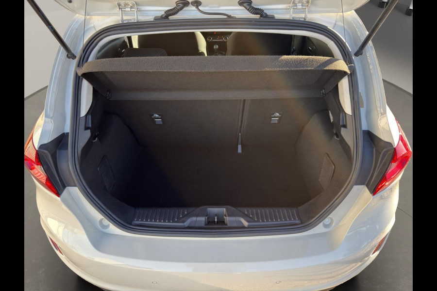 Ford Fiesta 1.0 EcoBoost Titanium | Camera | Parksensors | Stoel/Stuurverwarming | Adaptieve Cruise | Apple Carplay/Android Auto