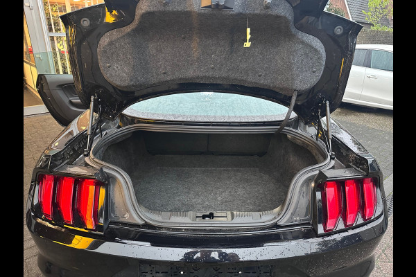 Ford Mustang Fastback 2.3 EcoBoost FULL OPTION / PERF PACK / AUTO / CLIMA