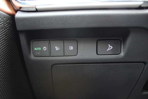 Škoda ENYAQ iV 80 First Edition | Trekhaak | Adaptieve cruise | Memory | Elek. achterklep